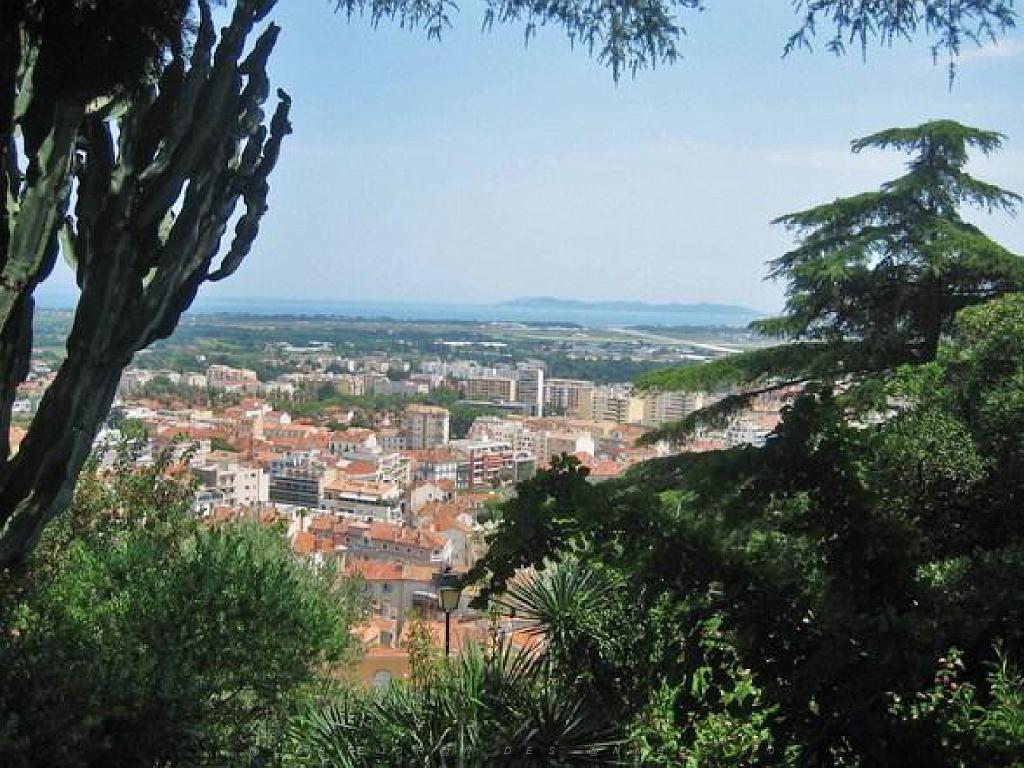 183 HYERES ET SES PALMIERS D02_000027.jpg